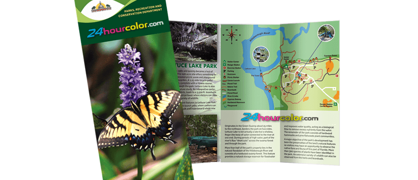 Brochures and Sellsheets sample